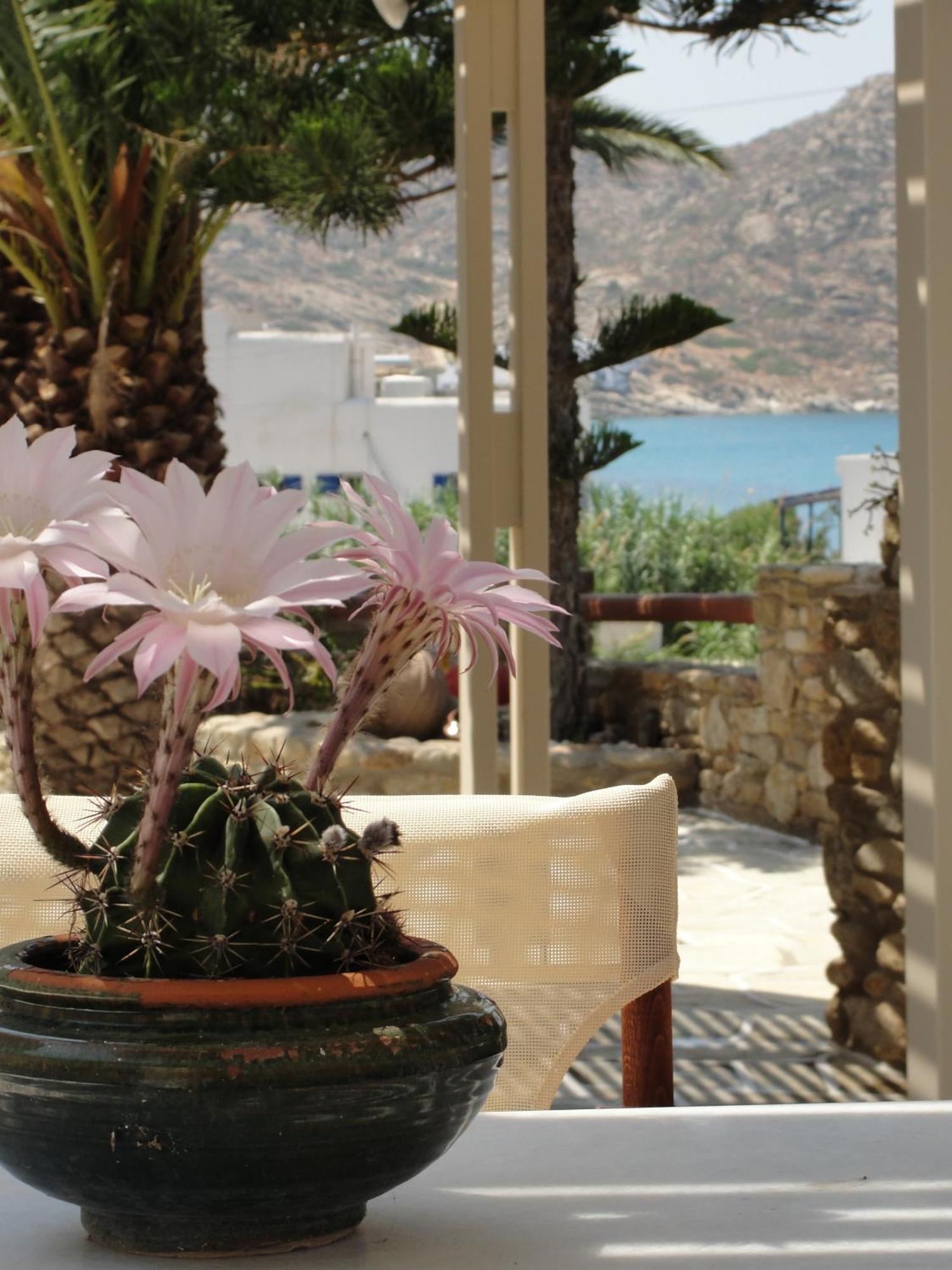 Galaxy Hotel Mylopotas Luaran gambar